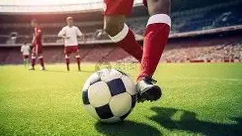 改革挑战下的体育变革——高水平运动队新政探讨篇之二