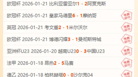 精灵宝可梦新角色Mimikyu预告